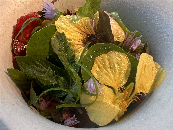 garden salad